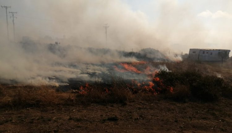 VIENTOS Y CALOR SEPT 7