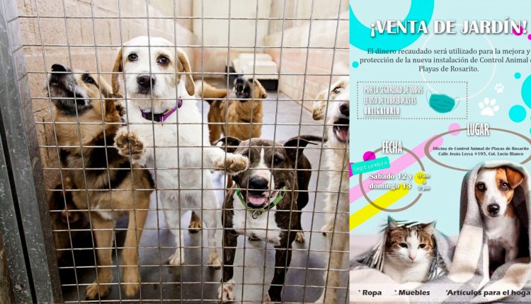 venta pro rescatistas