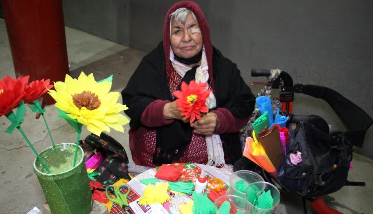 Artesania, venta de flores , comercio