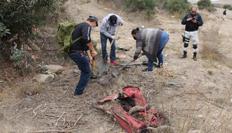 Desaparecidos, Colectivo , Búsqueda
