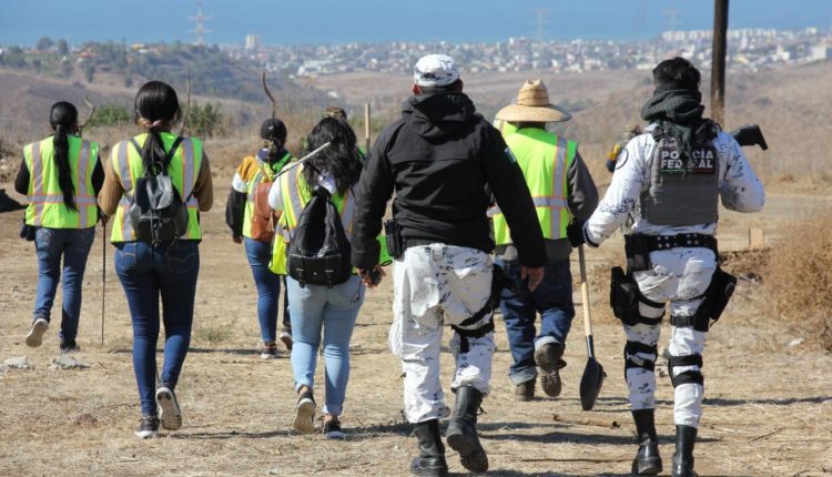Desaparecidos, colectivo , busqueda