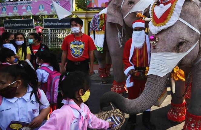 Elefantes, navidad, cubrebocas