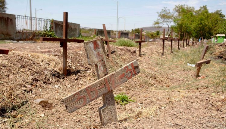 Fosa común, Desaparecido , ADN