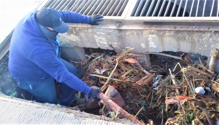Limpieza, basura, contaminación