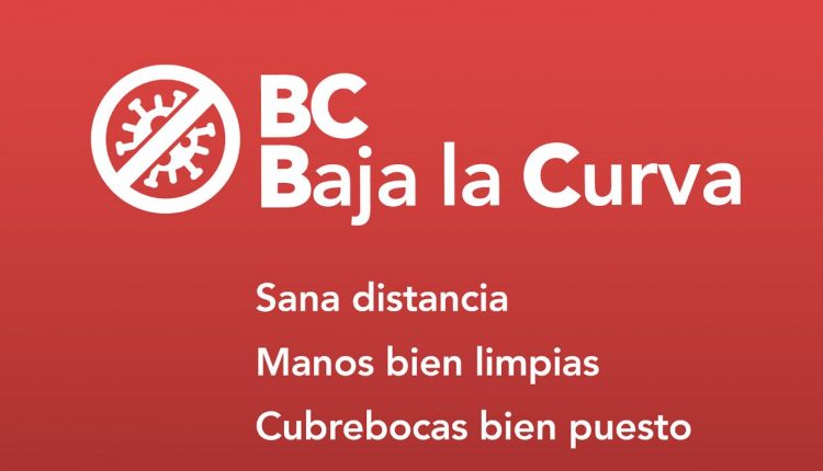 Proyecto, Covid-19 , sociedad