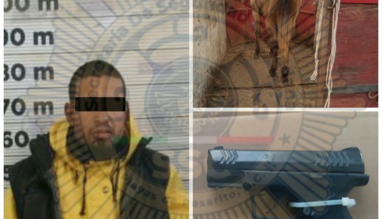 Robo, caballo, arma de fuego