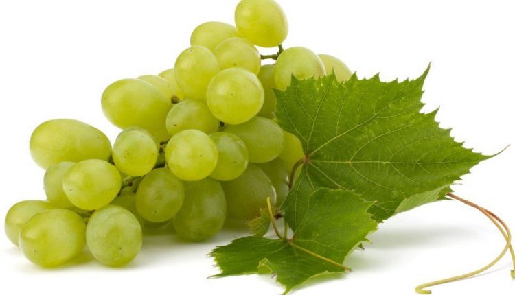 Uvas, festejo, tradición