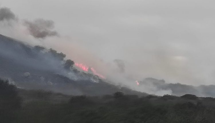 Vientos de Santa Ana , incendios , clima