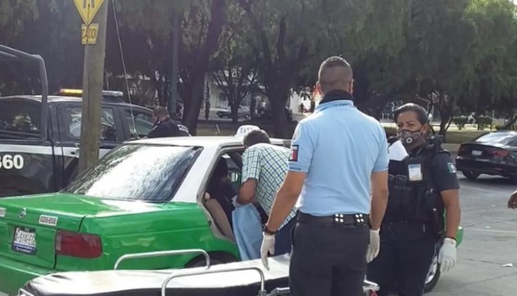 parto, bebé, embarazo