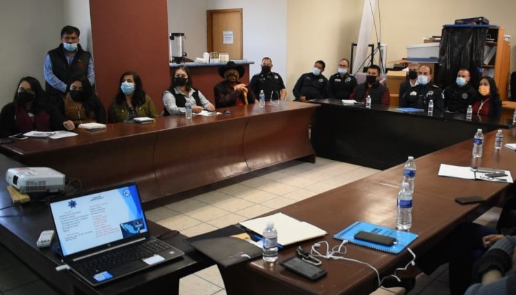 Policía cibernética, proyecto