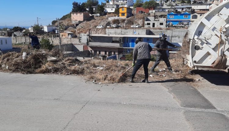 Areas verdes, ayuntamiento, limpieza, calles