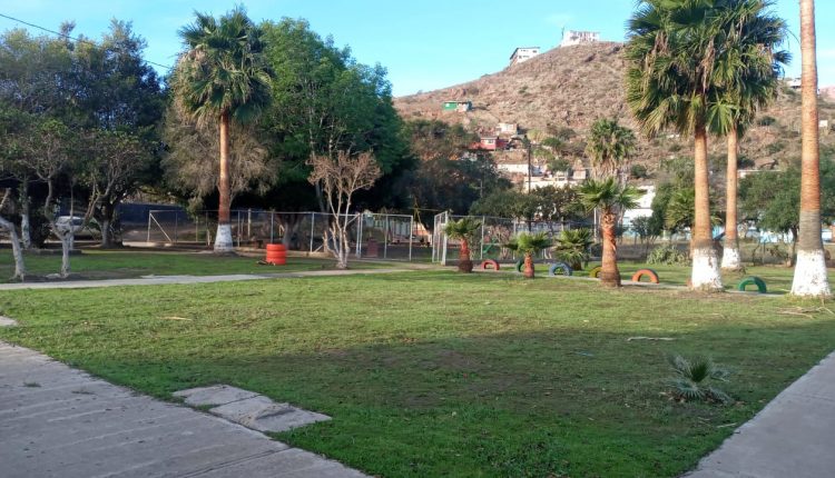 IMAC, Ciudadanía, cultura