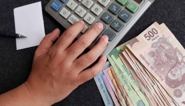 INEGI, UMA, valor, articulo