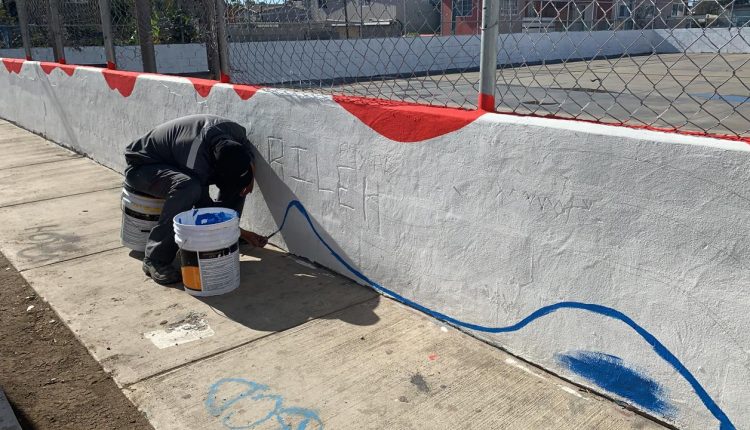 Limpieza, SDSU, Forestacion, zona urbana