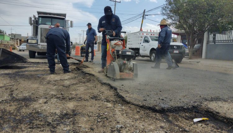 Limpieza, bacheo, reforestación