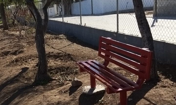 Parque, bancas, mantenimiento