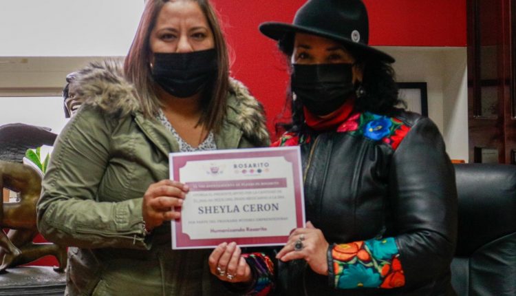 apoyos económicos, mujeres, emprendedoras