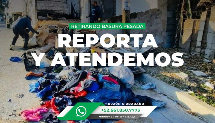 Brigadas, reportes, basura pesada, denuncia