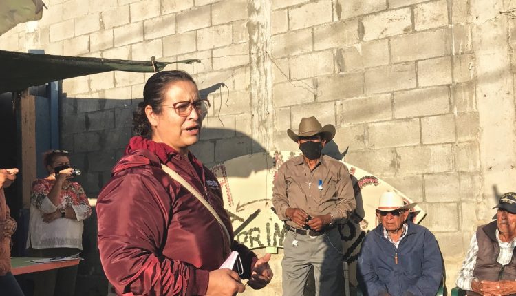 Candidata, MORENA, Distrito