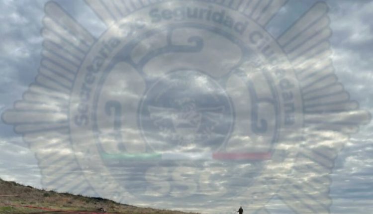 Homicidio, SEMEFO, violencia