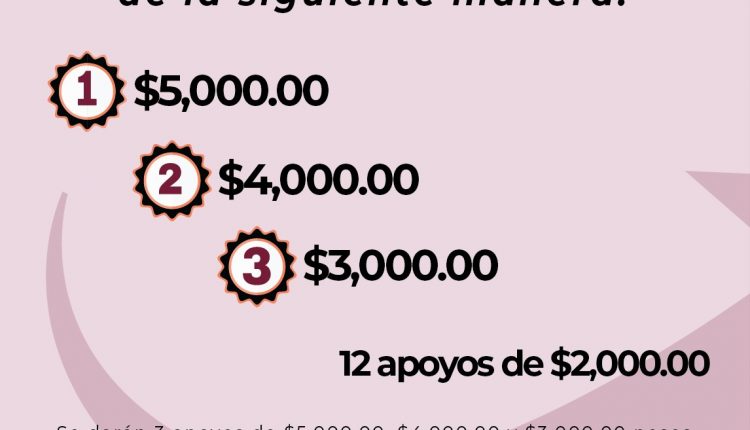 IMMUJER, Negocios, proyectos, convocatoria