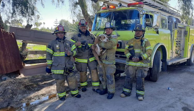 Incendio, bomberos, rescatados