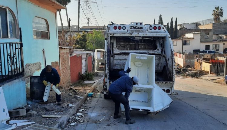 Limpieza, jornadas, basura, reportes