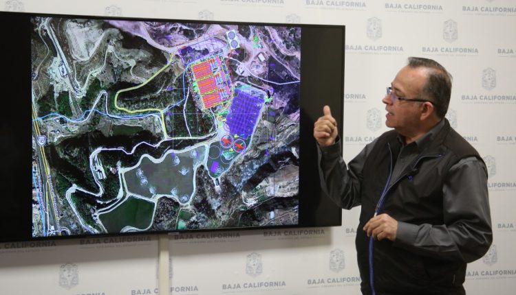 SEPROA, punta bandera, plantas de agua