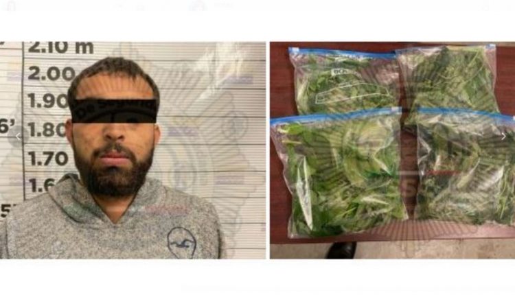 Detenido, droga, SSC