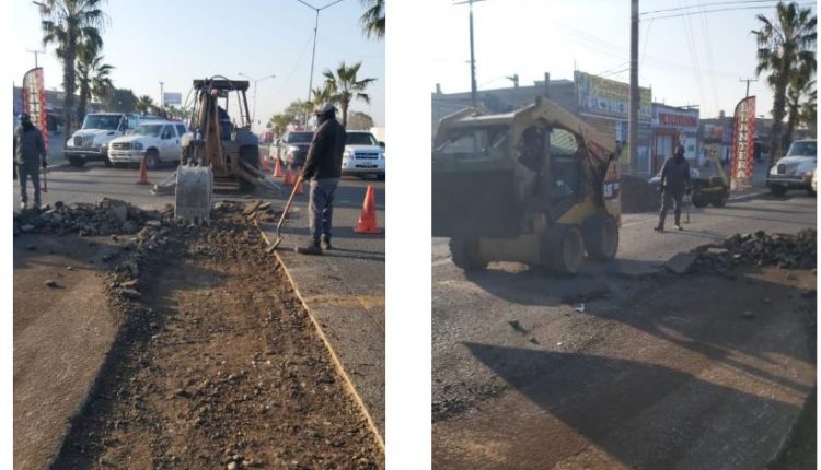 Brigadas, limpieza, SDSU, Delegaciones