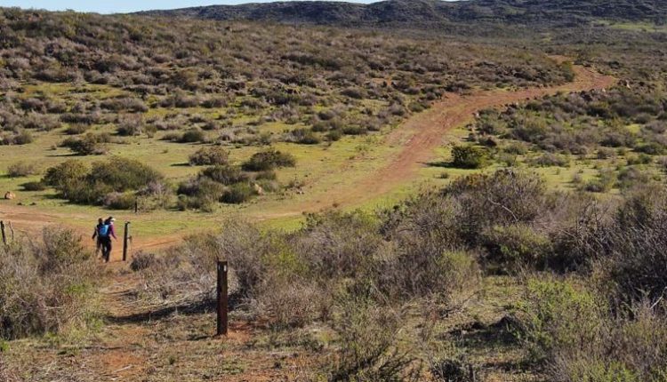 rescates, 911, senderismo