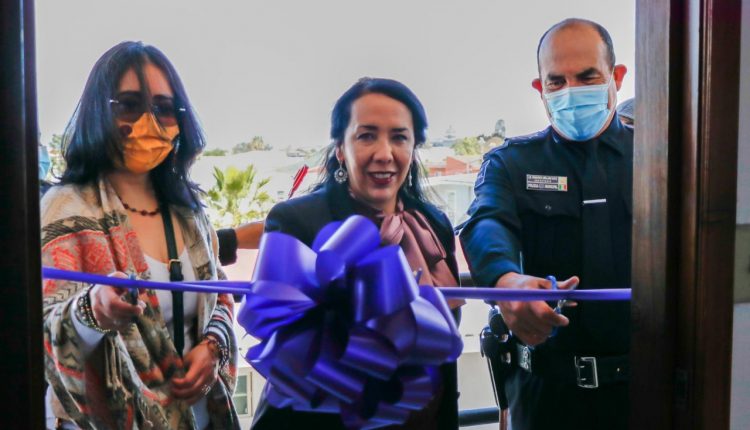 Albergue, violencia, seguridad