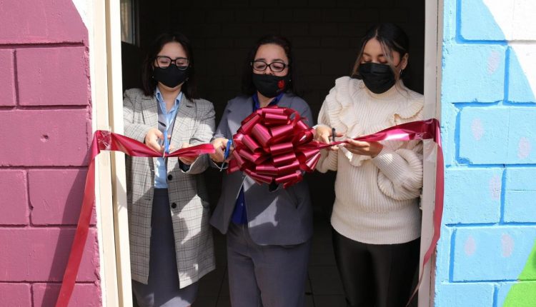 Biblioteca, educación, actividades, DIF