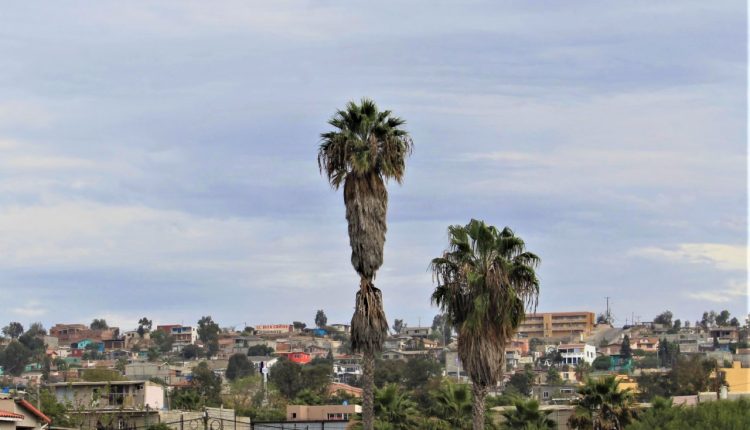 Clima, temperatura, protección civil