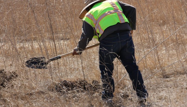 Colectivo de búsquedas, desaparecidos, municipios