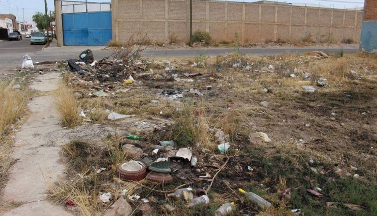 Cráneo, hallazgo, elementos policiacos