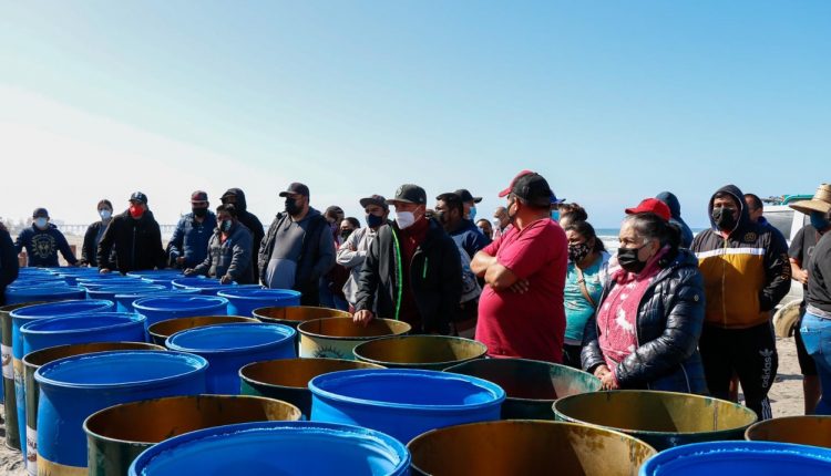 Donaciones, contenedores, basura