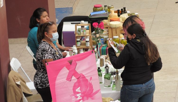 Proyecto, promotora, mujeres