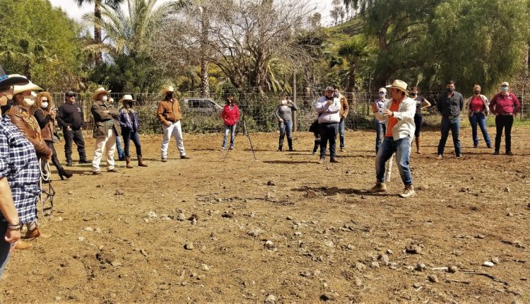 Terapia, equinoterapia, condición física, familias