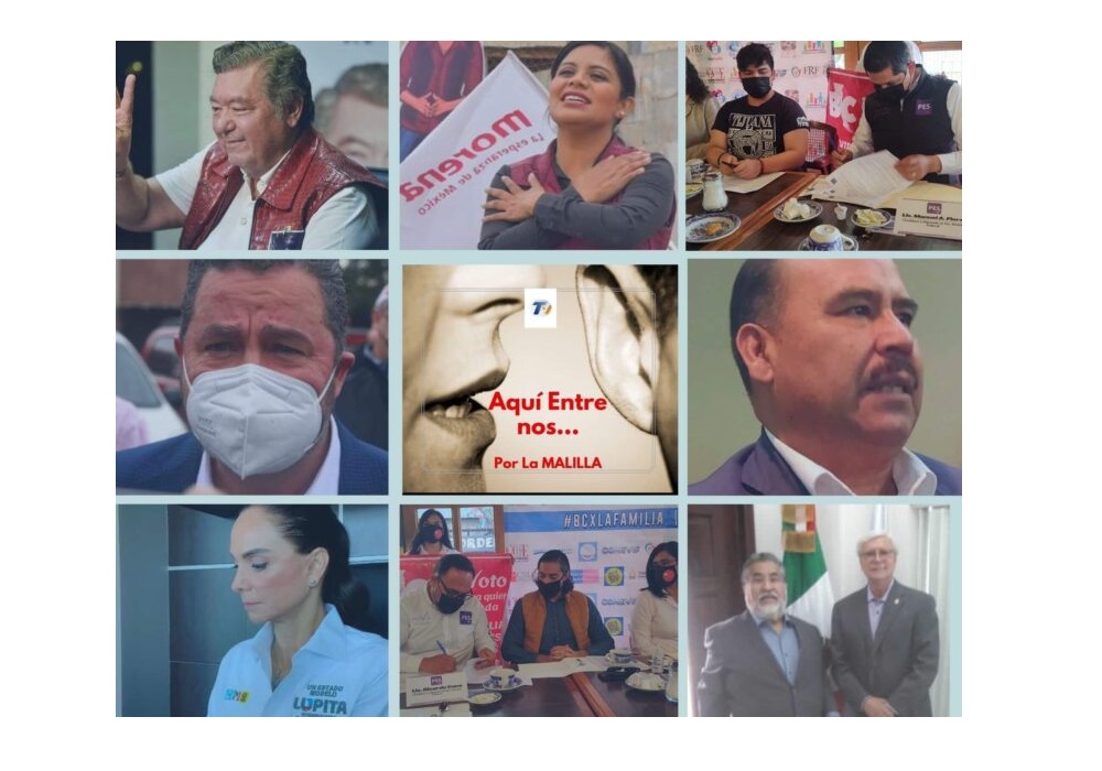 AdicciónPolítica, EleccionesBC21, LaMalilla, Tverás,