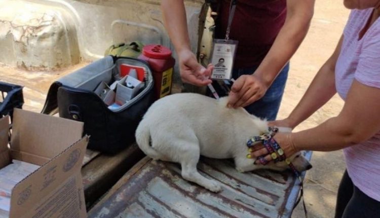 Garrapata, Rosarito, GobiernoMunicipal