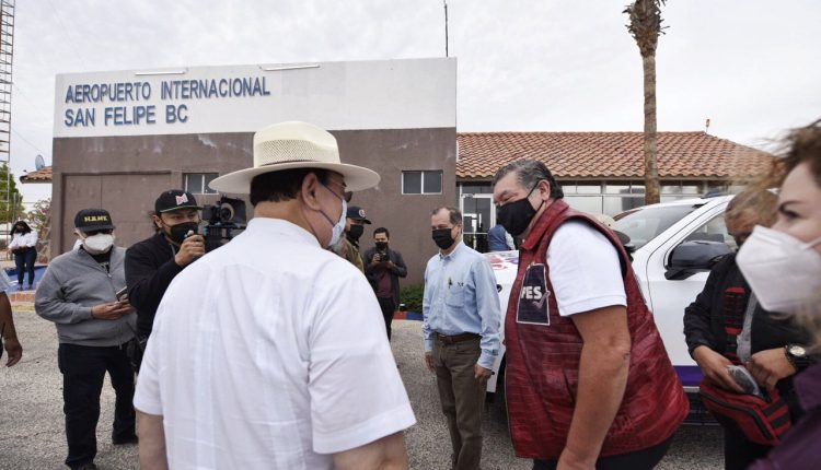 Jorge Hank, PES, Fundación Metrópoli