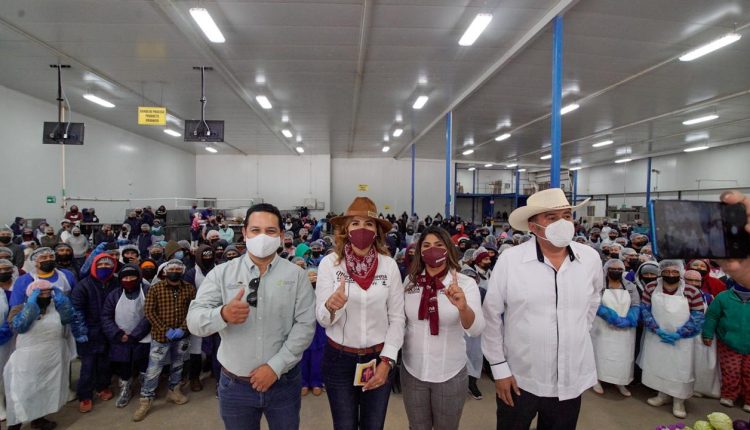 MarinaDelPilar, Morena, Campañas