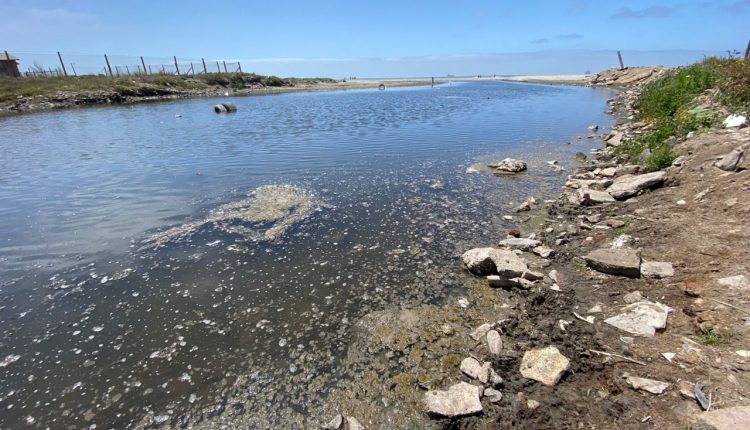 Residencias Quinta del Mar, Aguas Negras