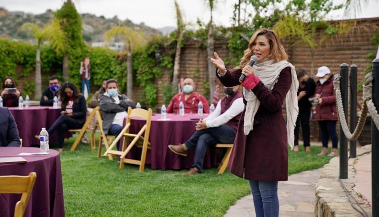 candidatos, campañas, elecciones