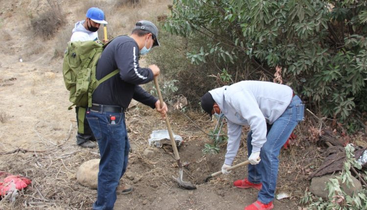 colectivos, busqueda, desaparecidos