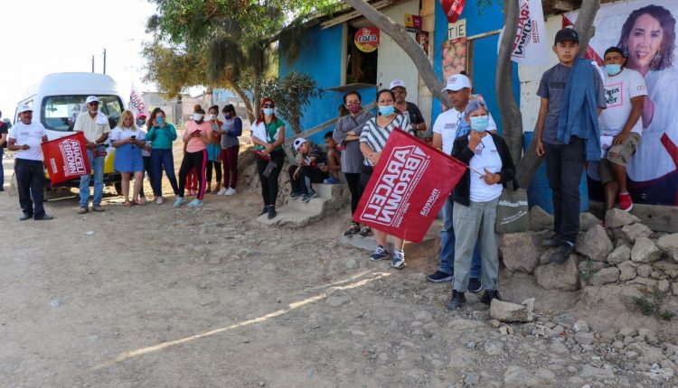 Araceli Brown, Morena, Elecciones 2021