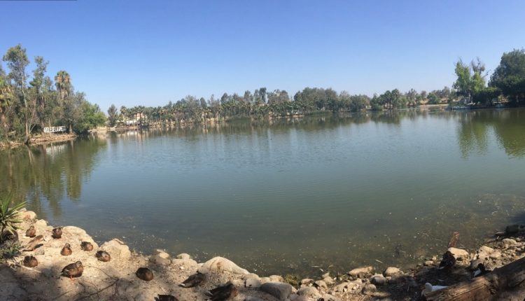 CESPT, Contaminación