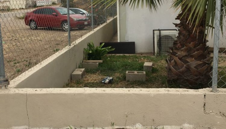 Control Animal, Delincuencia, Inseguridad, Perros, Robo