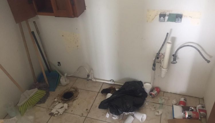 Delincuencia, Inseguridad, Robo, Crimen